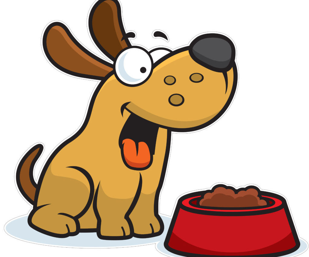 Sensor-Based Pet Food Dispneser