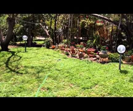 Motion Activated Sprinkler DIY
