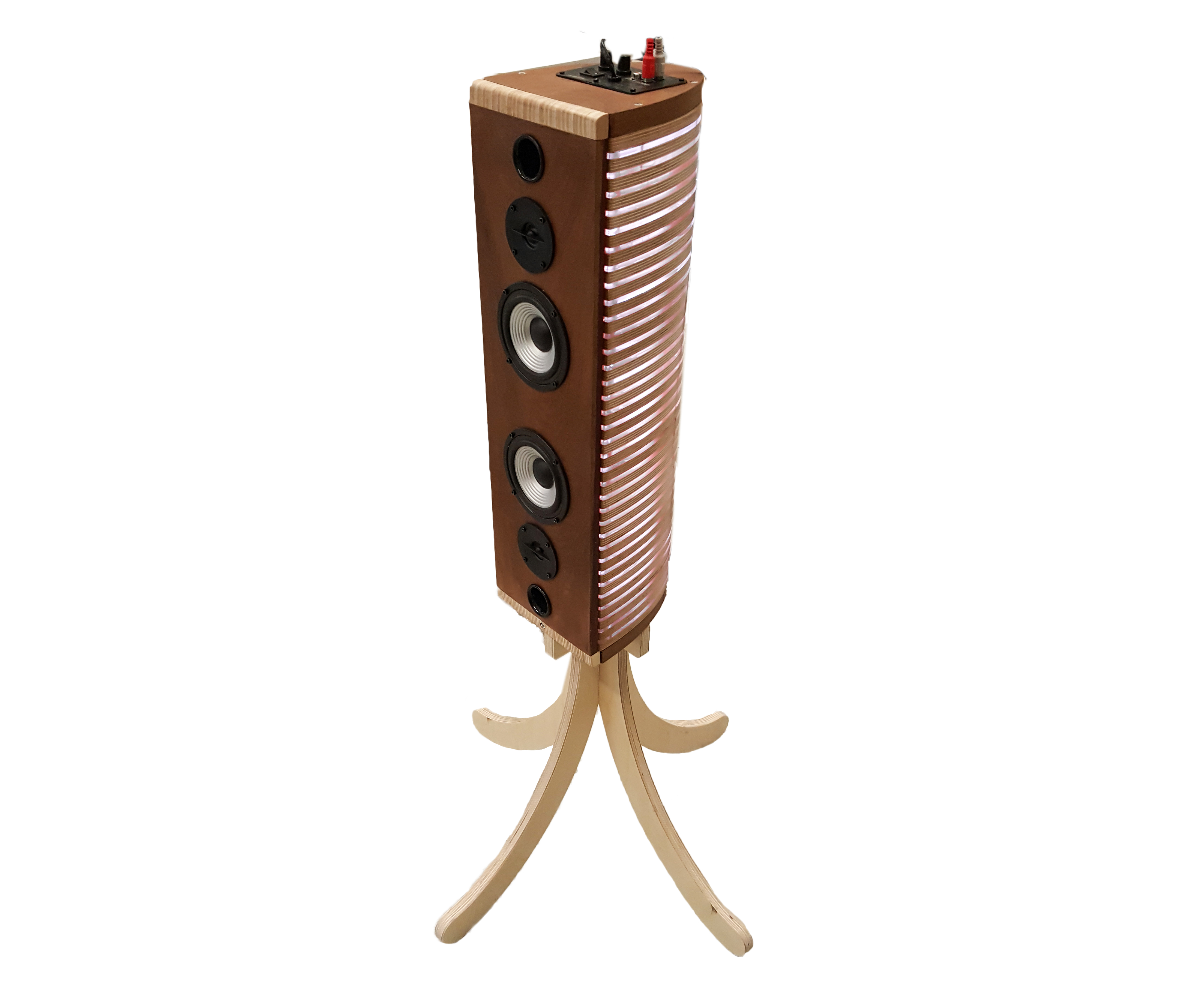 Sound Reactive RGB Speaker