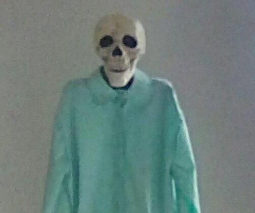 Creepy Stand-up Skeleton Prop