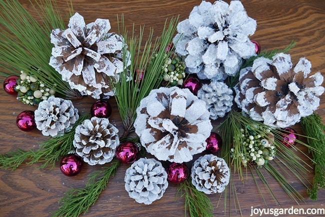 White-snowy-pine-cones-decorated-with-greens-balls.-Snowy-glittery-pine-cones-in-3-easy-steps_new.jpg