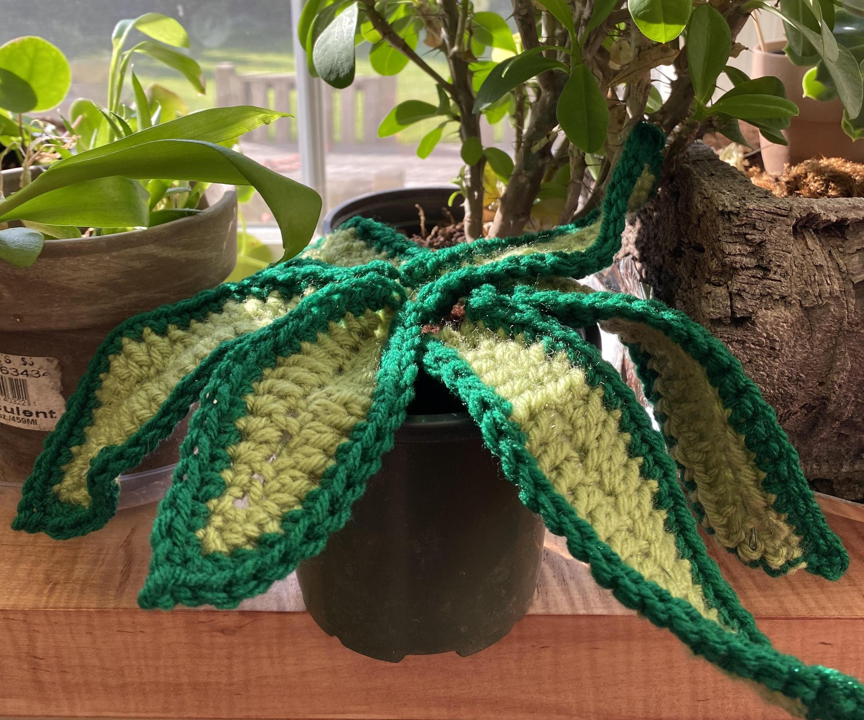 Crocheted House Plant