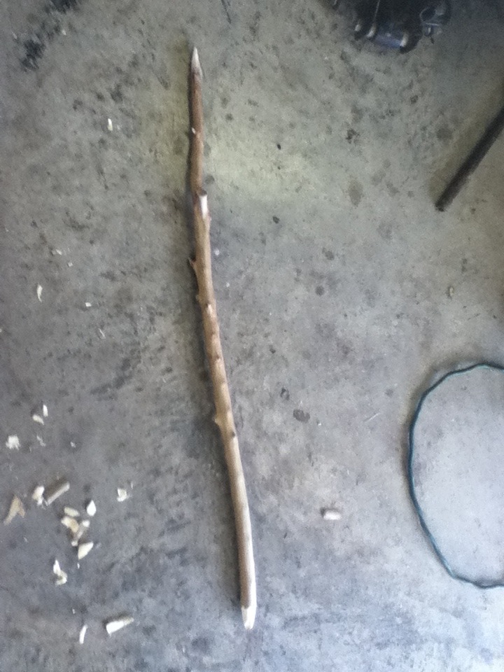 Double Sided Spear