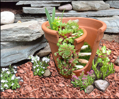 Clay Flower Pot - With a Twist