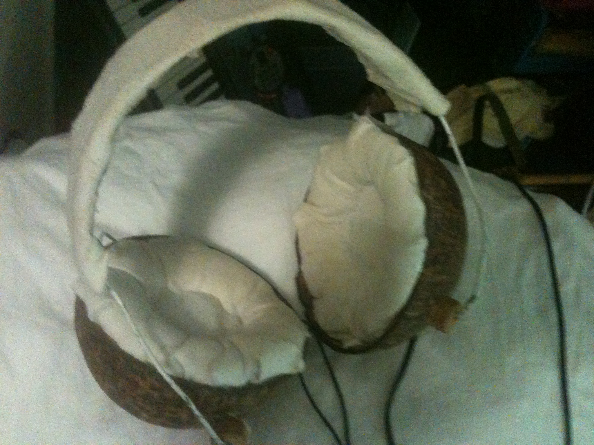 Coconut Headphones