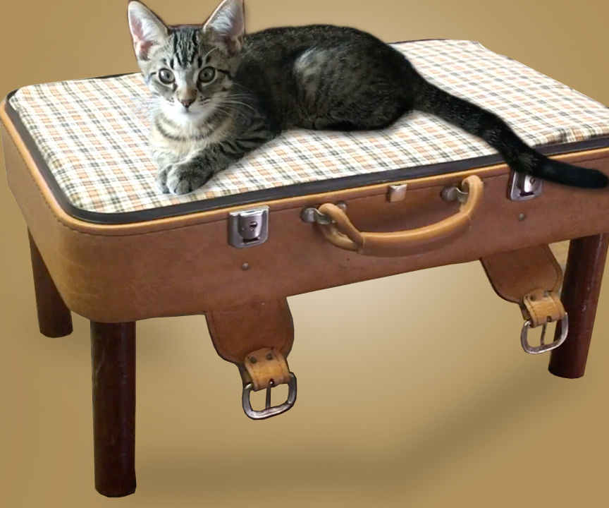 Suitcase Pet Bed
