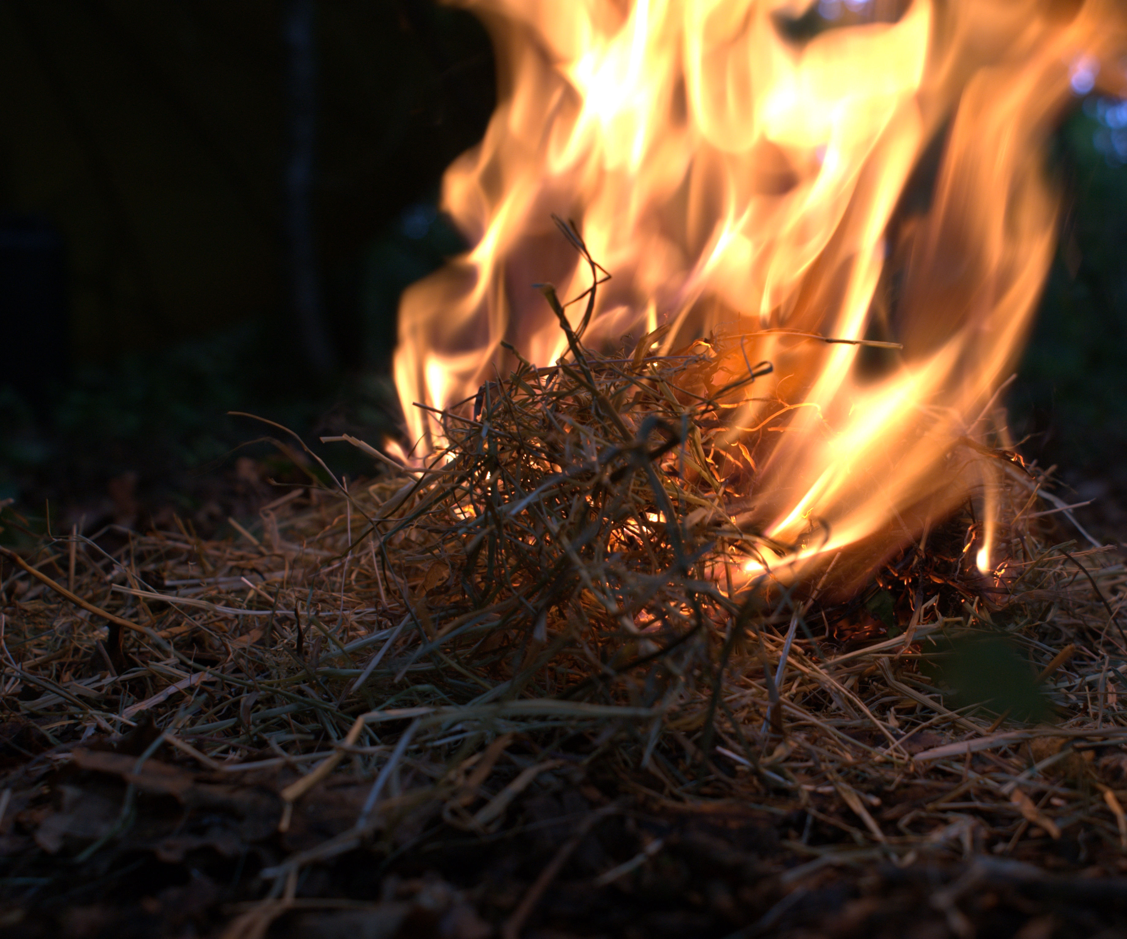 Making a Fire using the Flint and Steel Method (Hands on Bushcraft)