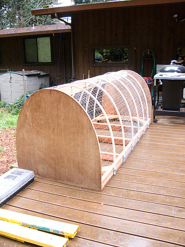 Chicken Barrow