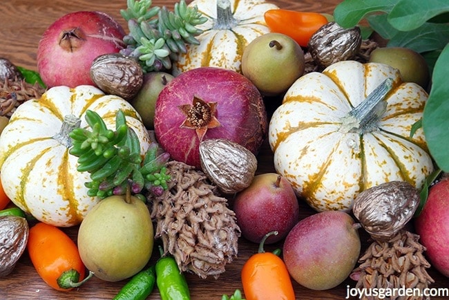 Gilded-walnuts-white-and-orange-pumpkins-pomegranates-mini-peppers-mini-pears-and-succulent-cuttings-are-in-this-dsplay-Fall-table-decoration_new.jpg