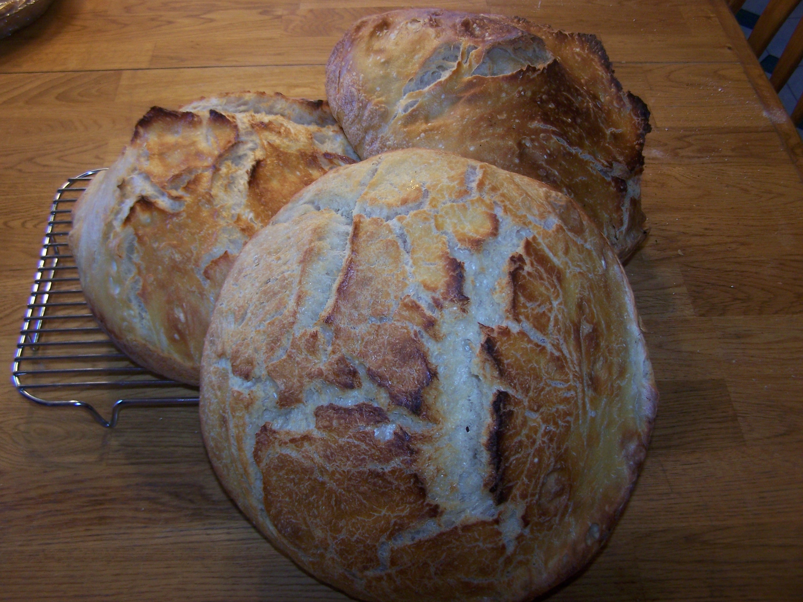 Sourdough Bread