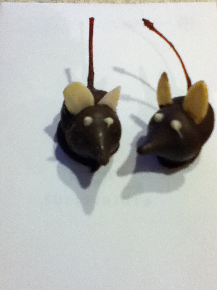 Chocolate Mice