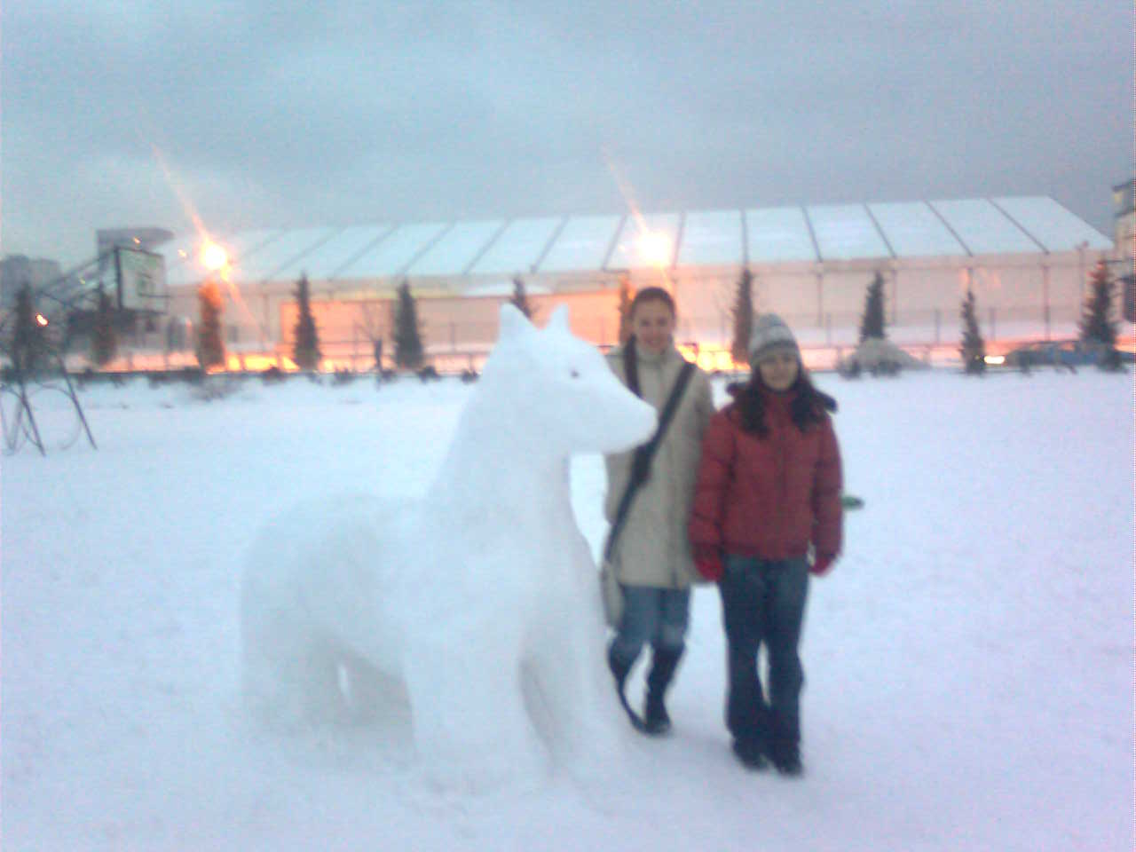 A 'little' Snowy Friend?