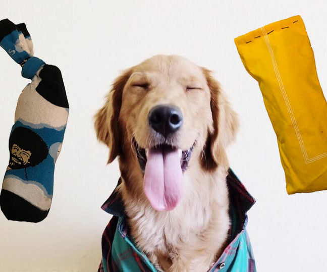Water Bottle Dog Toy