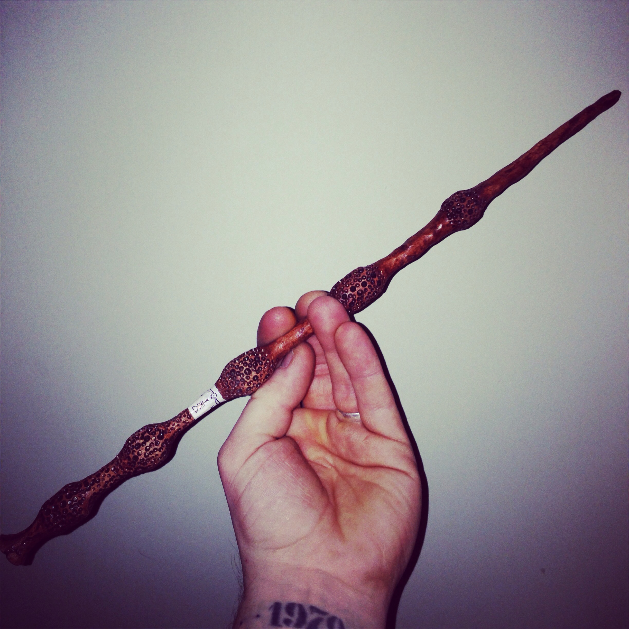 Dumbledore's Wand (from Harry Potter) 