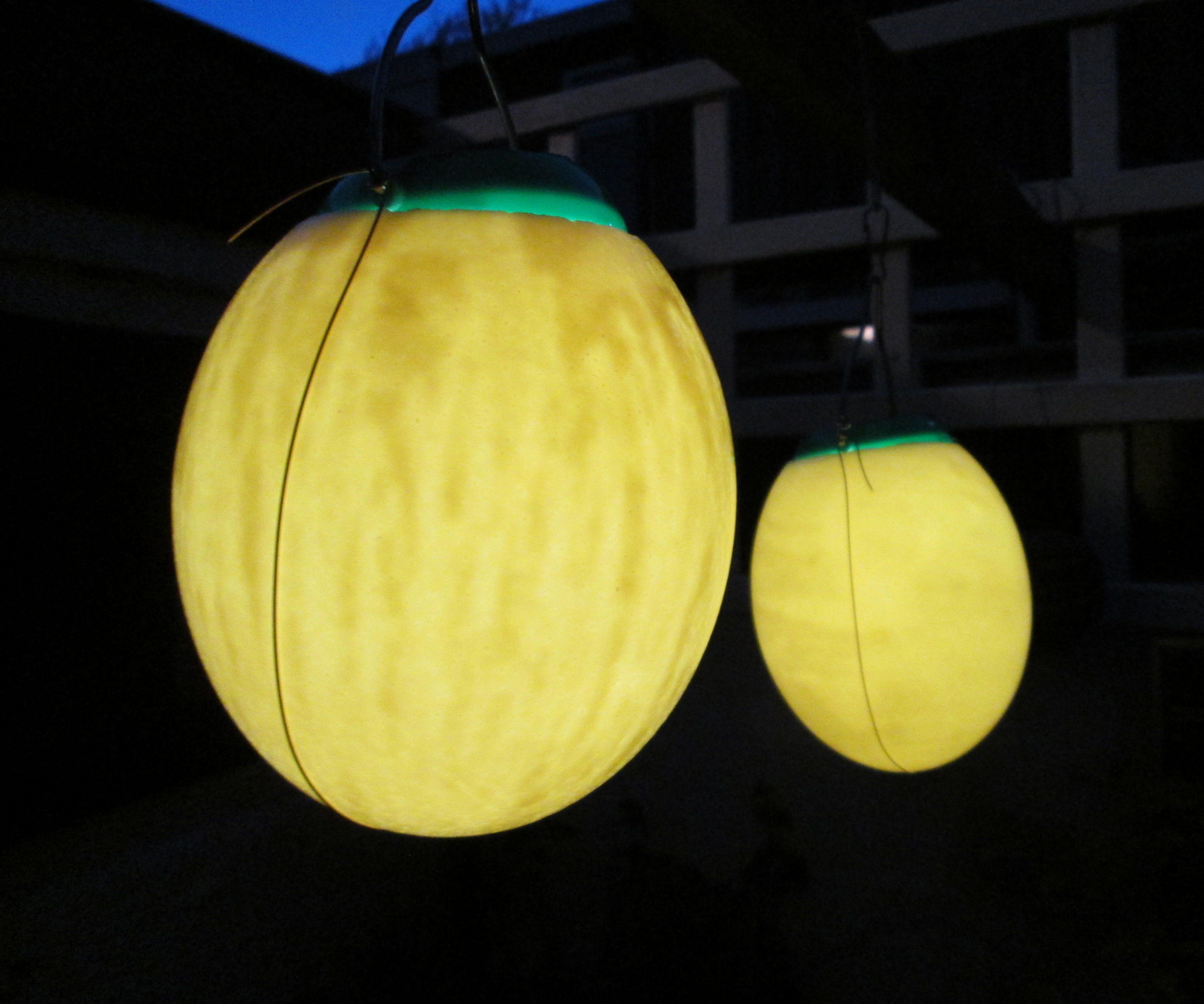 Solar Powered Ostrich Egg