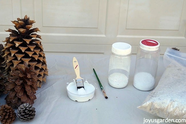 Pine-cones-sit-next-to-a-dish-filled-with-white-paint-glue-brushes-3-containers-of-crystal-glitters_new.jpg