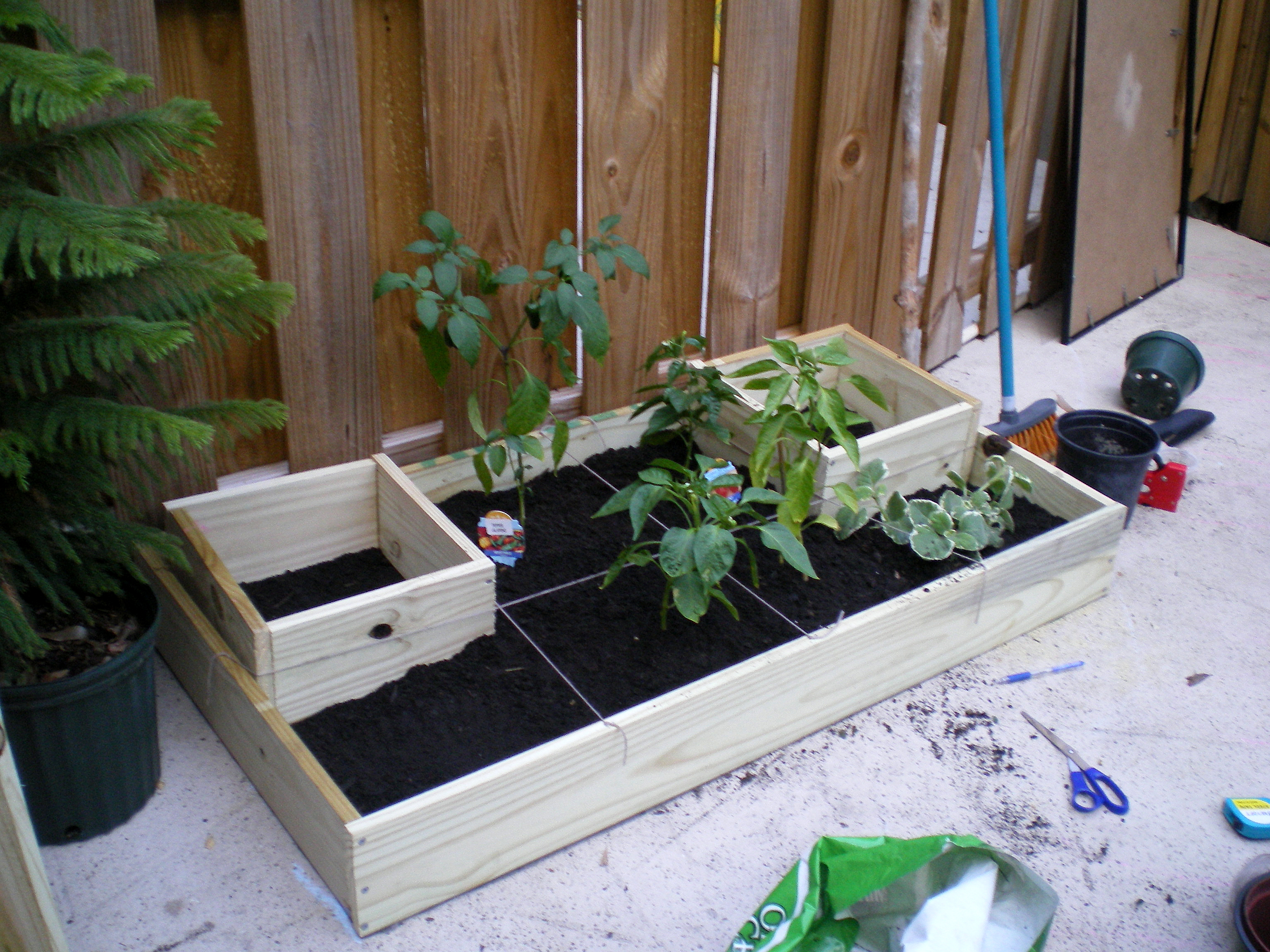 Urban Homestead Garden (squarefoot Gardening Abridged)