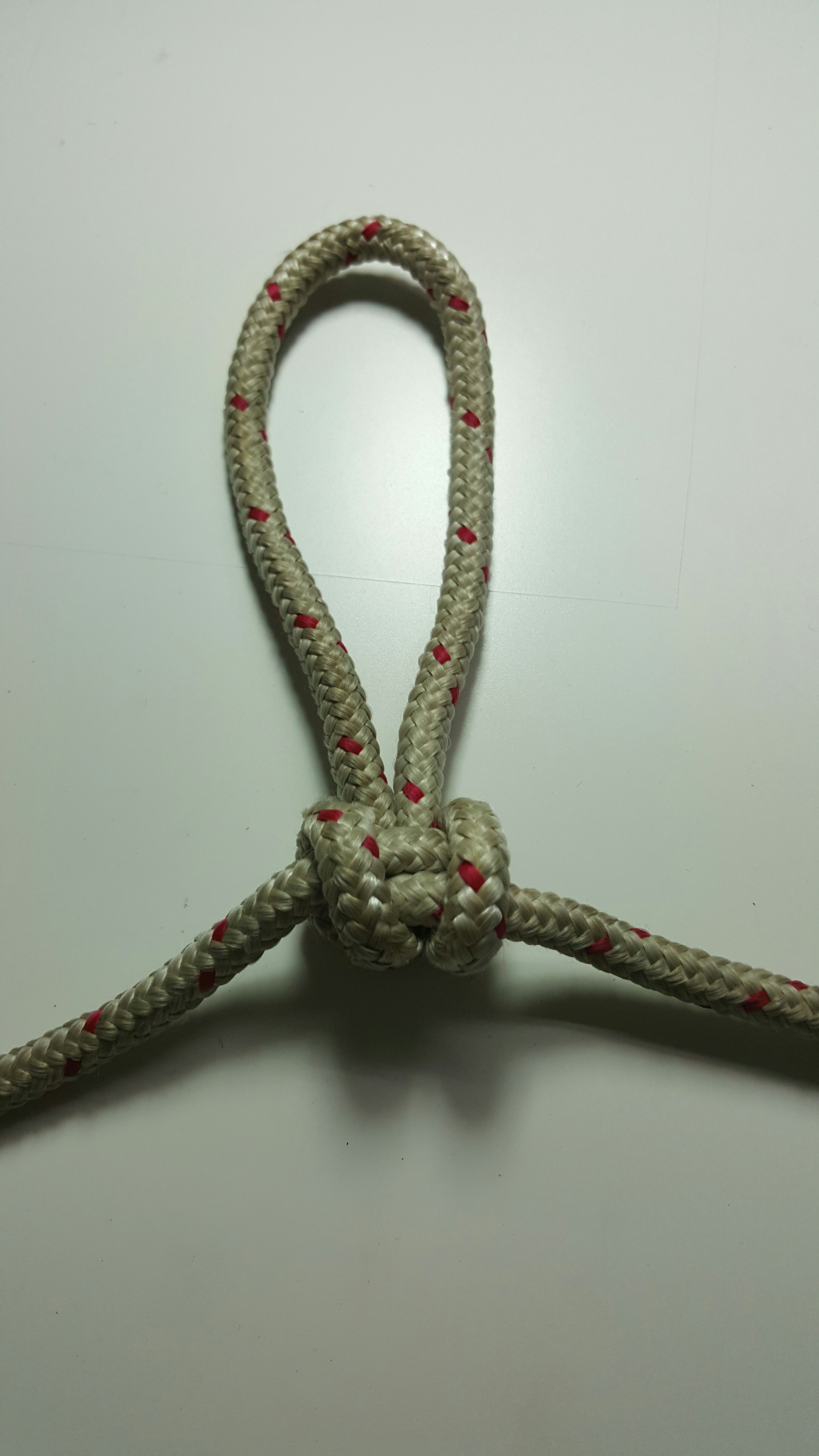 Nudo Alpine Butterfly Loop