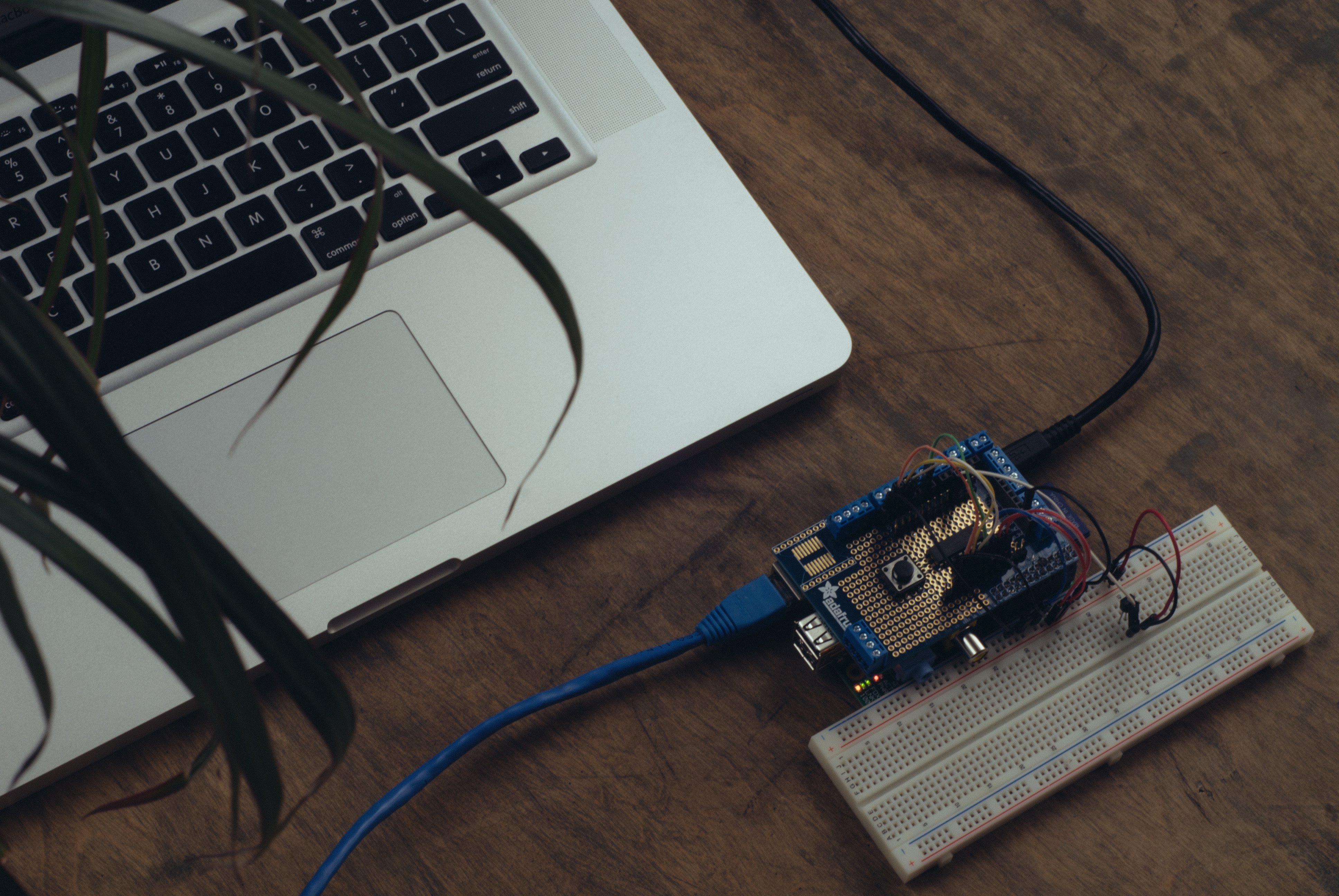 Real-time Graphing With the Raspberry Pi