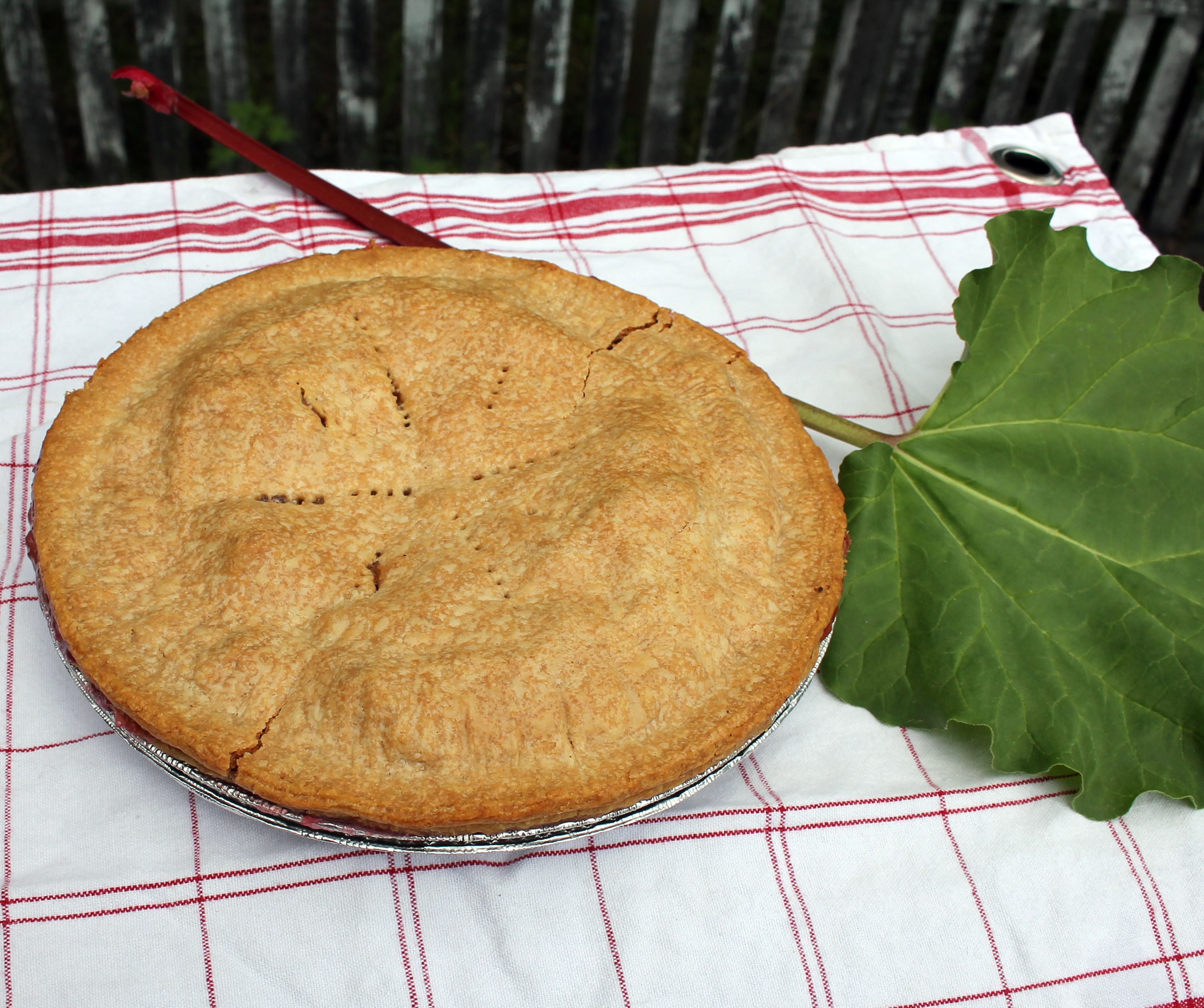 Quick & Easy Backyard Rhubarb Pie