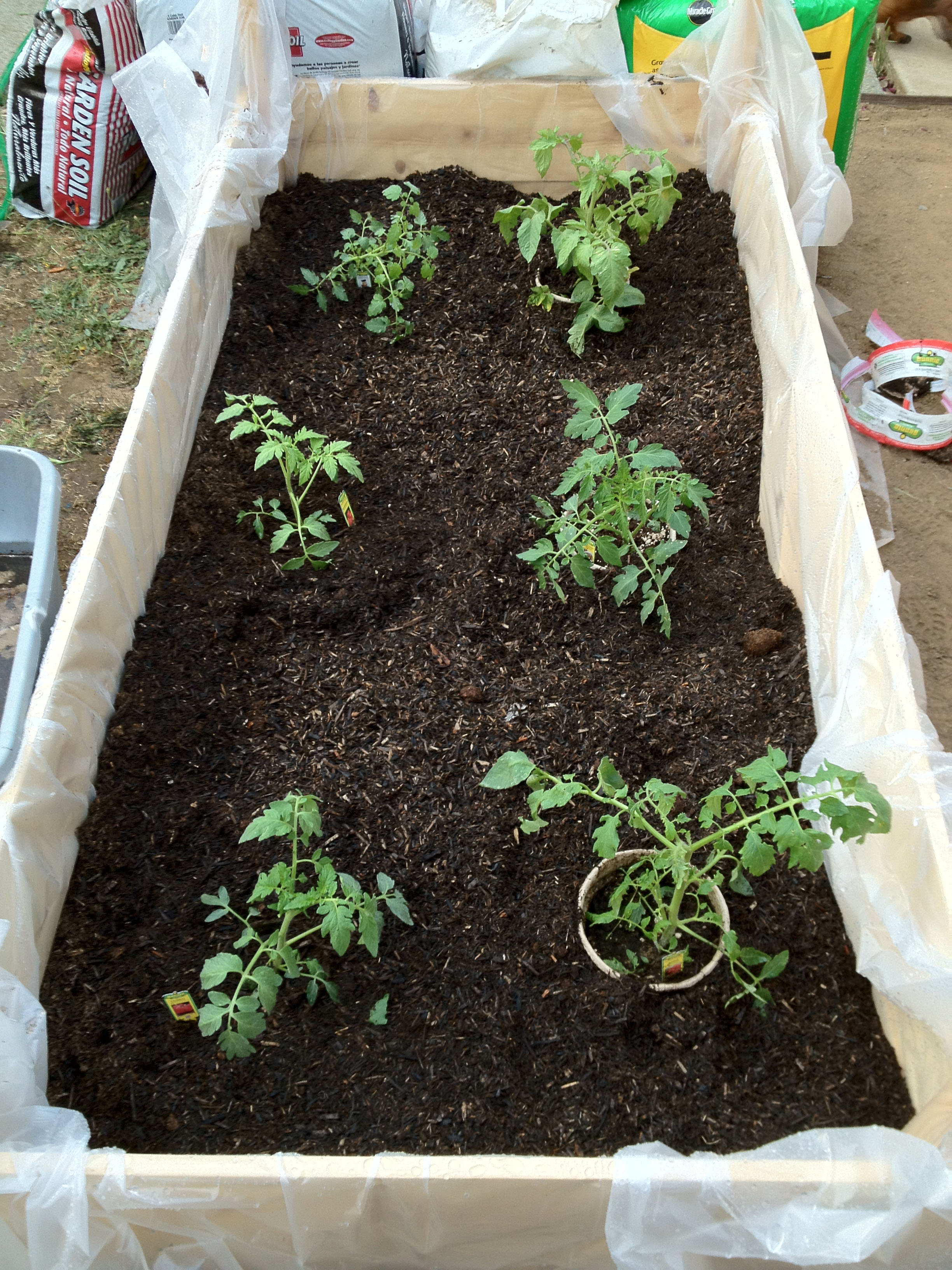 Backyard Garden Boxes - on the Cheap!