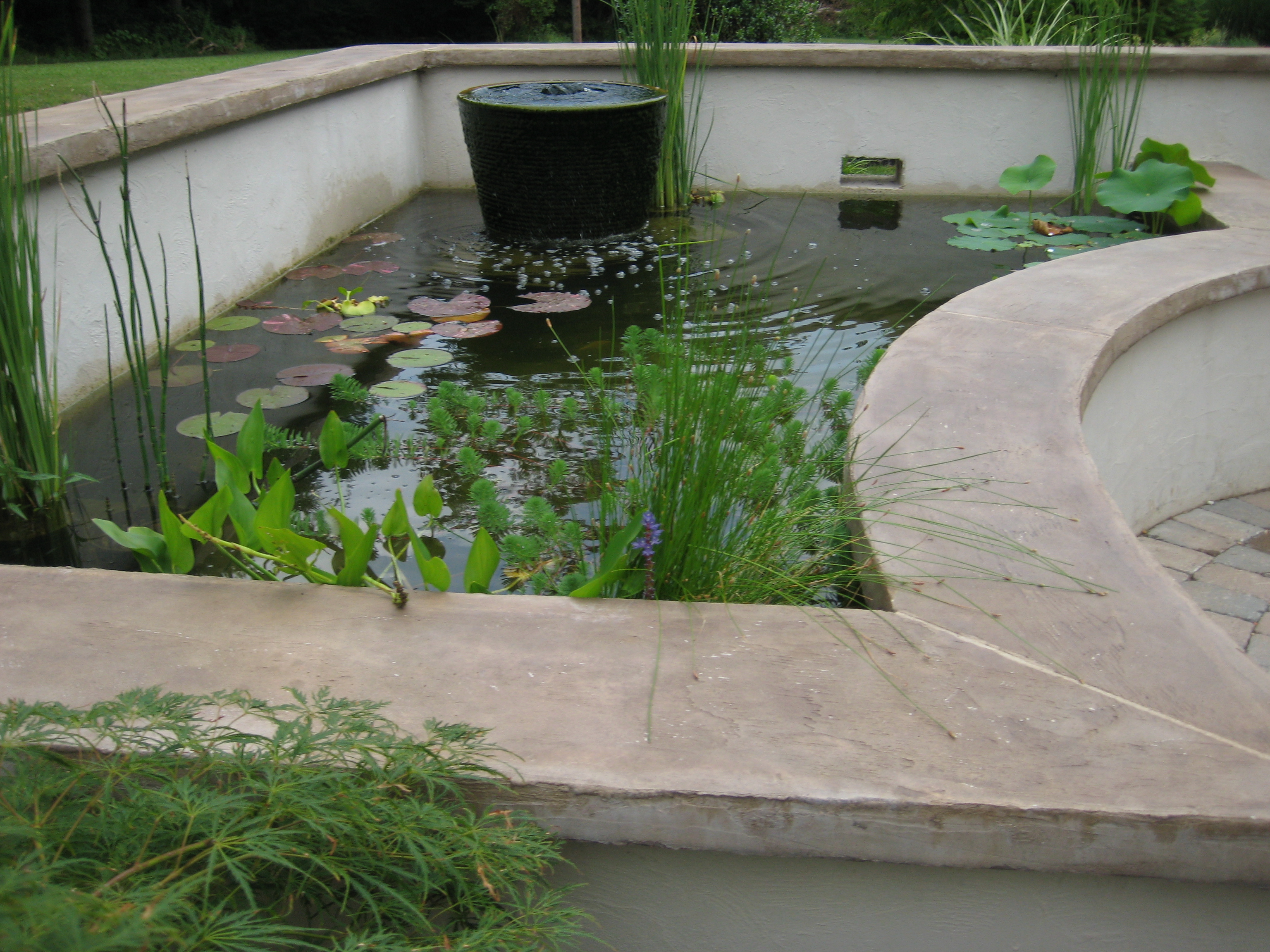 The Ultimate Koi Pond