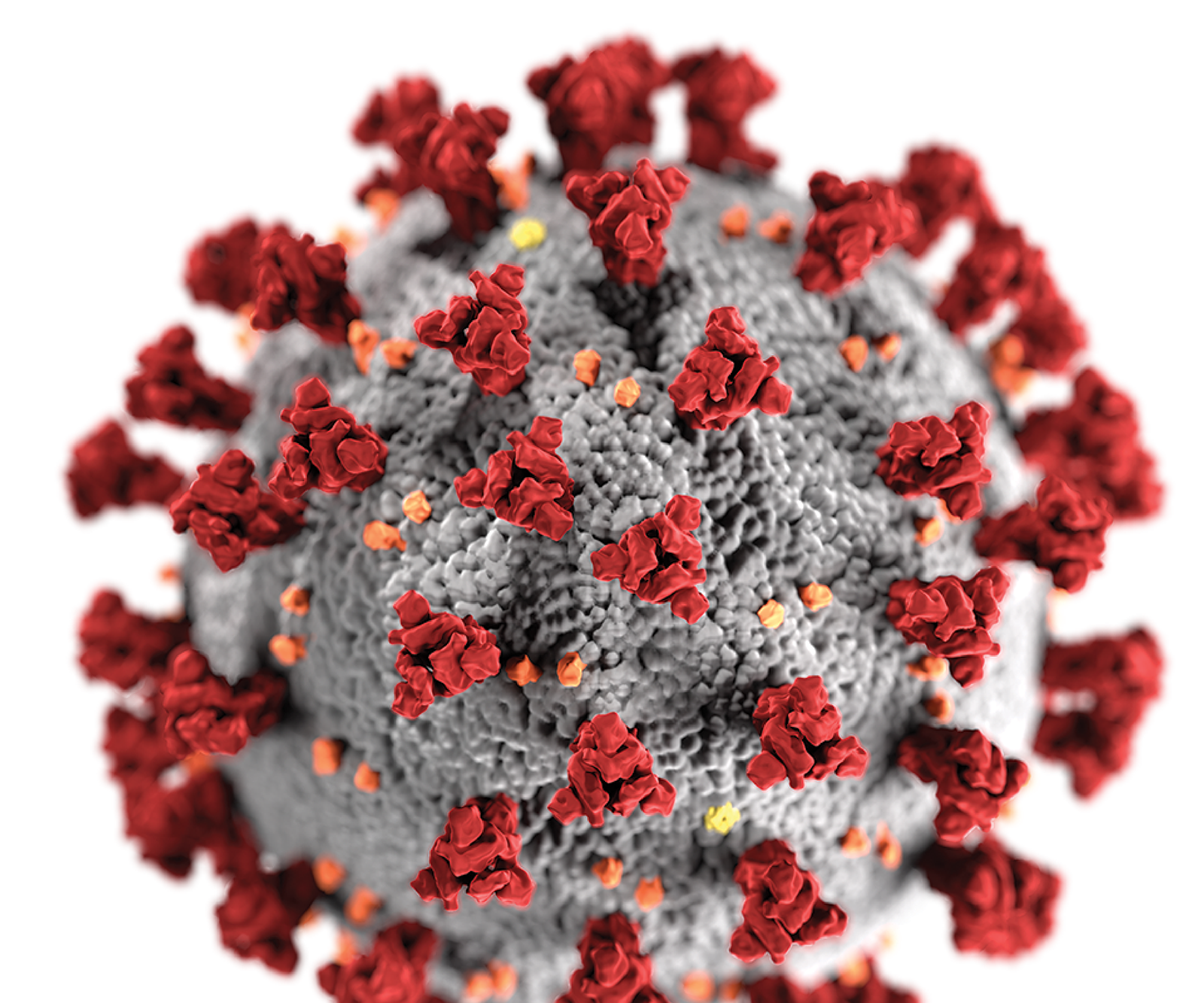 Coronavirus Mutation Modeling - Monte Carlo Simulations