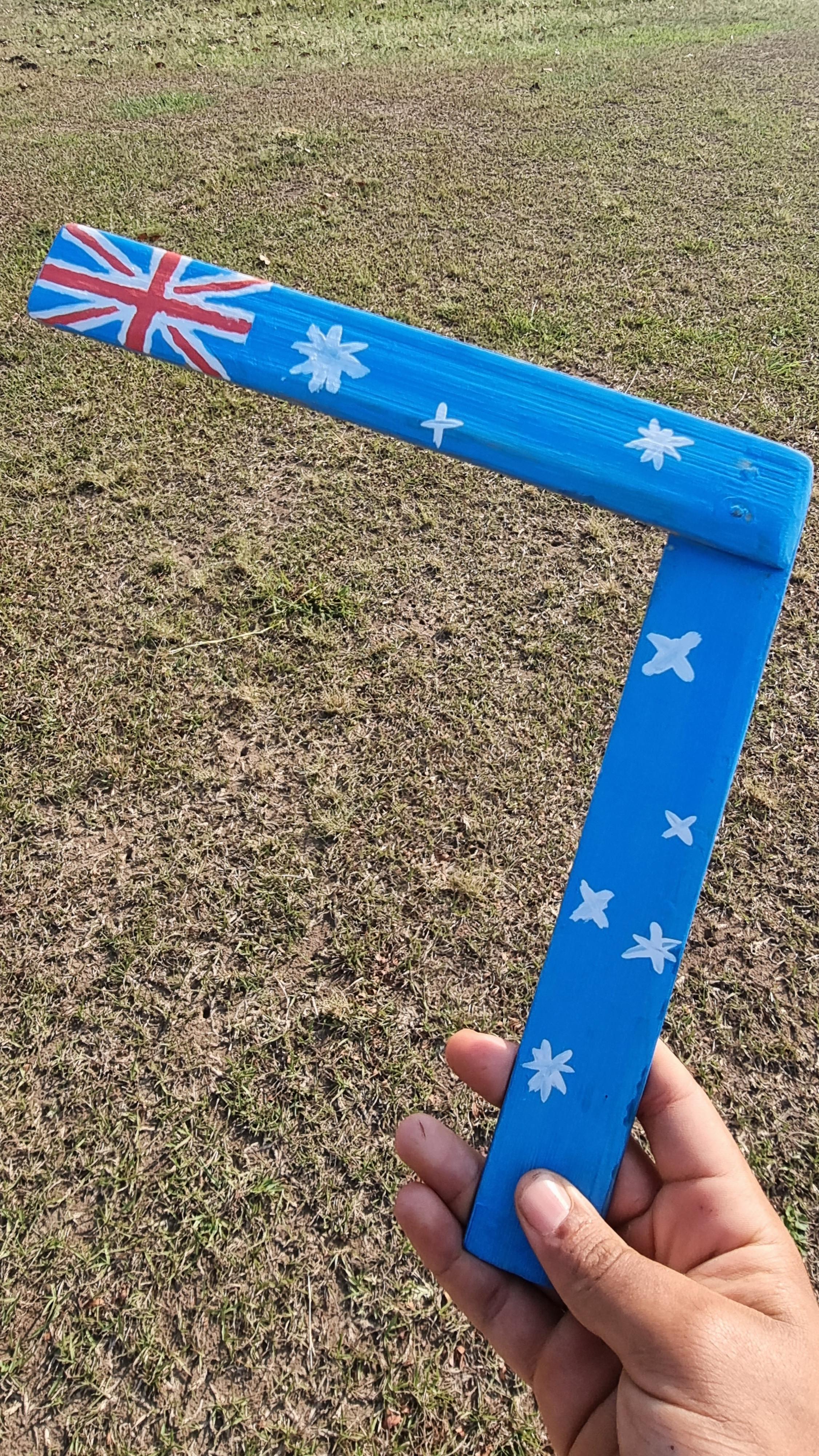 Bamboo Boomerang
