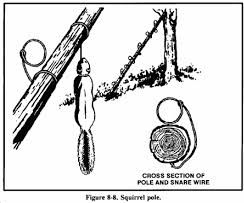 Easy Squirrel Trap