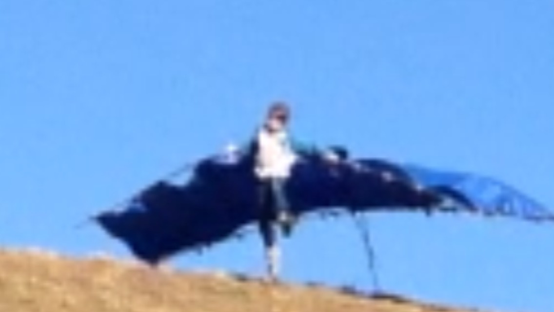 Nicwell Glider
