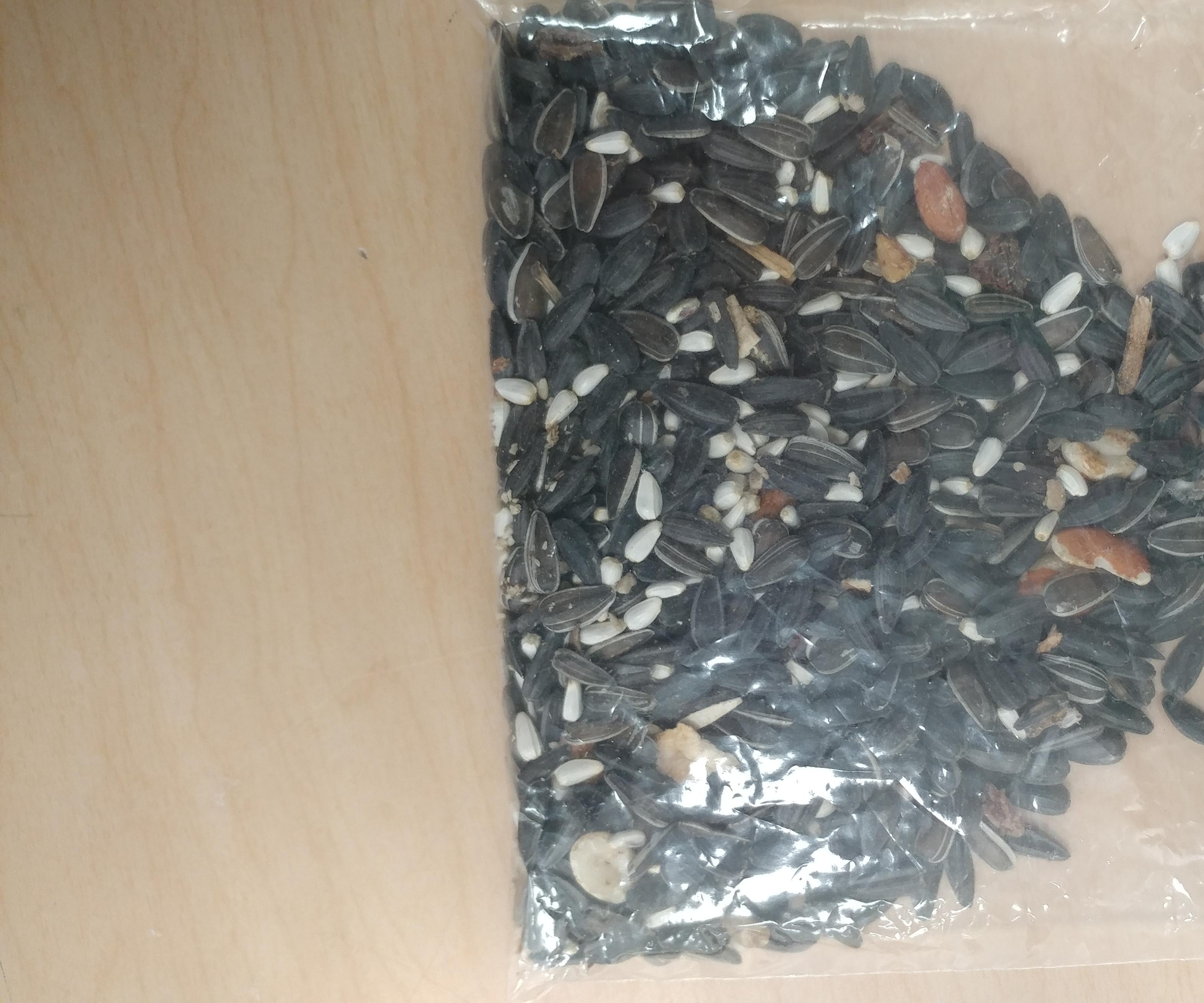 Plastic Bird Feeder