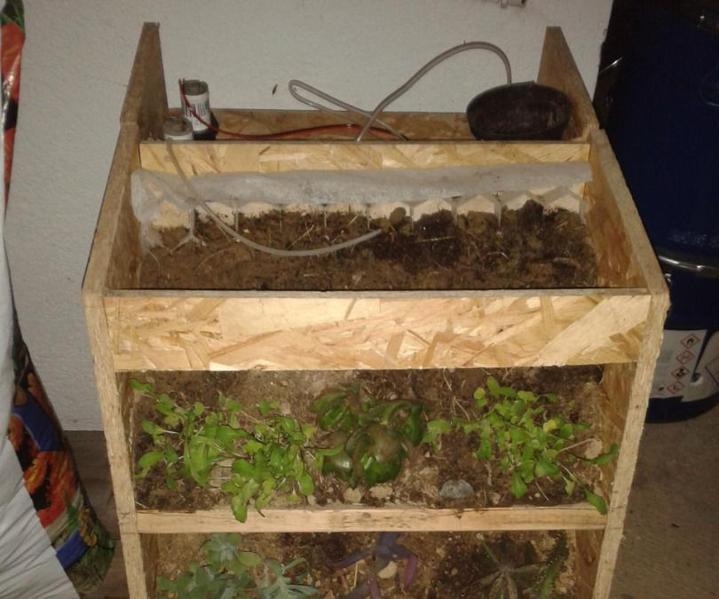 Vertical garden & weather powered by Intel Edison