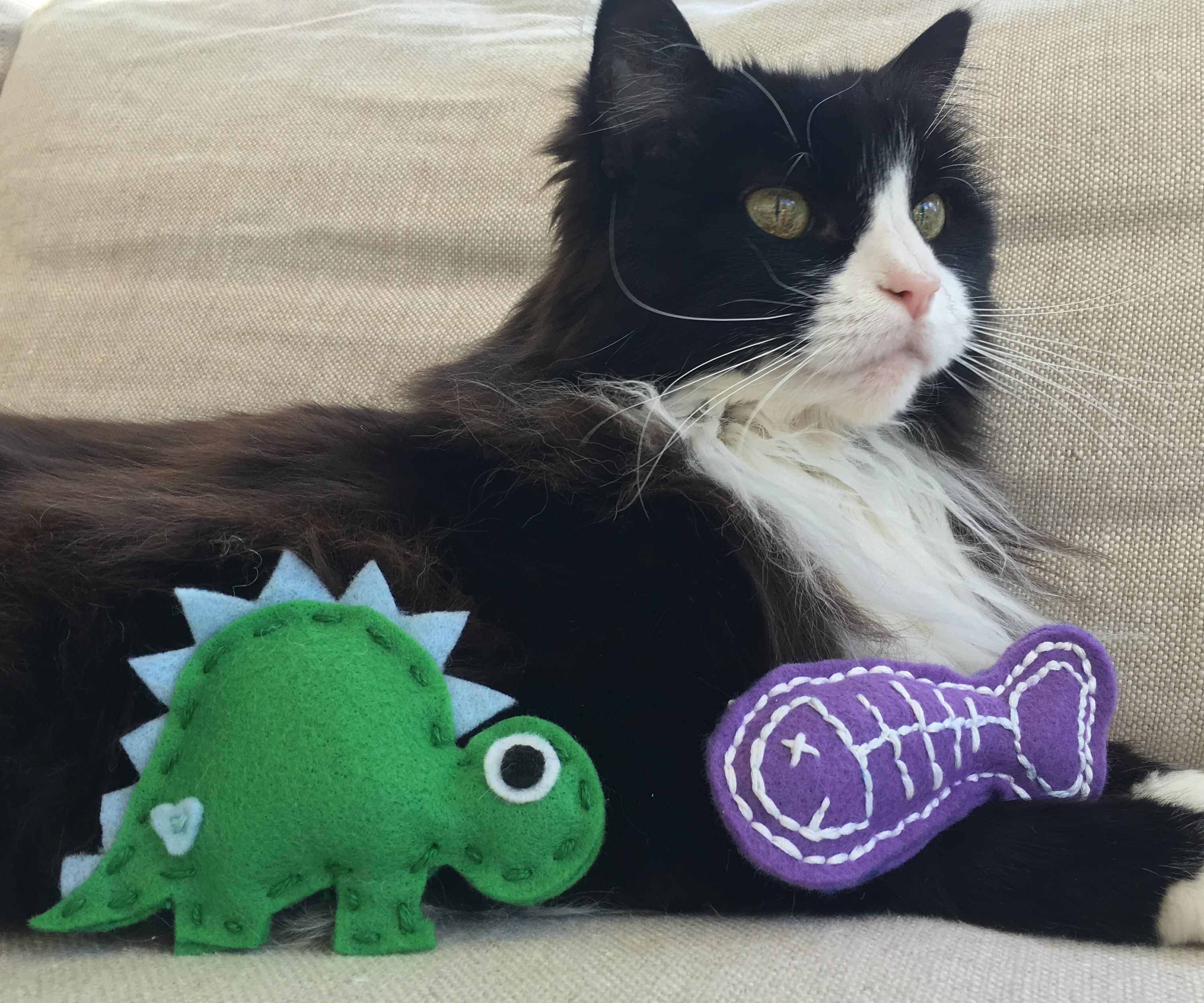 2 Felt Cat Toys (Fish and Dinosaur)