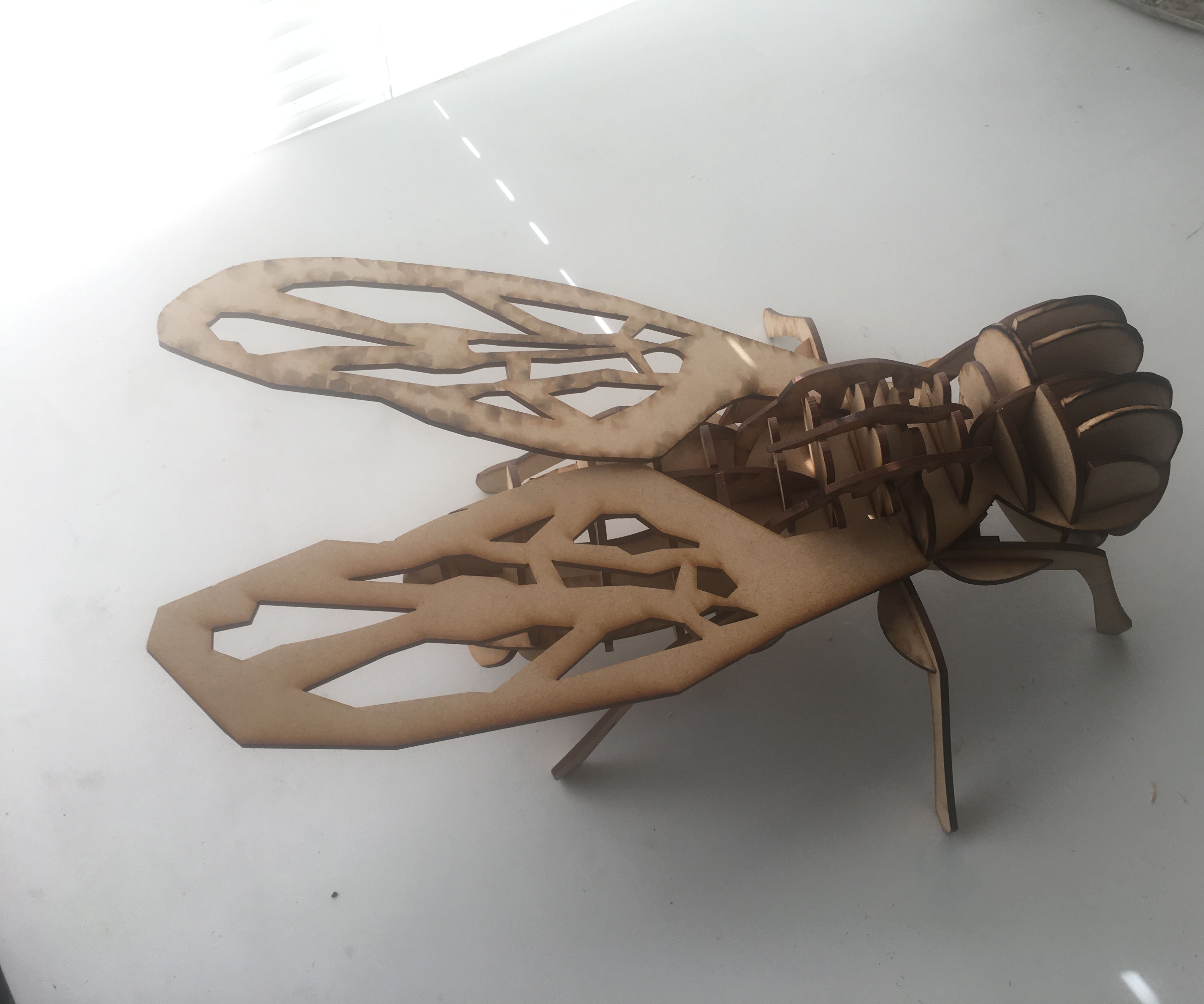 Insecta Drones