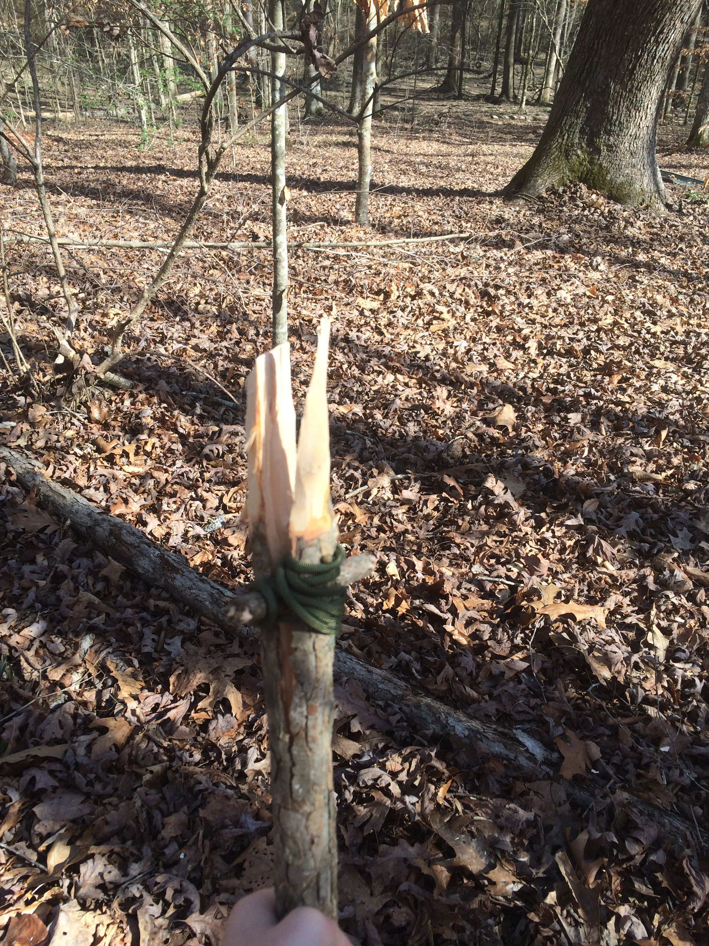 Primitive Spear