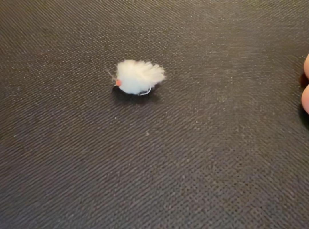 Eggstacy Egg Fly