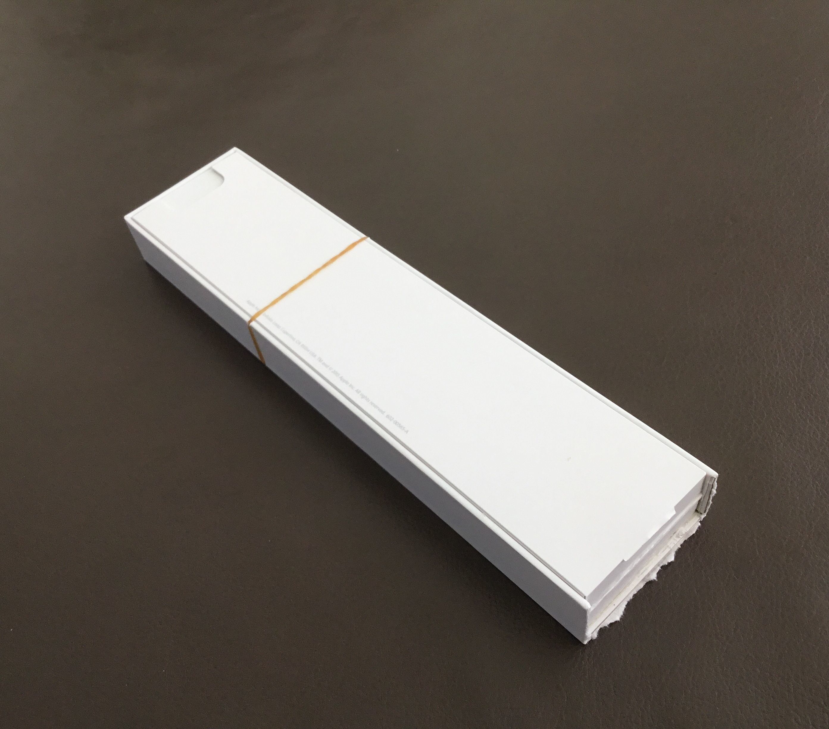Apple Pencil case