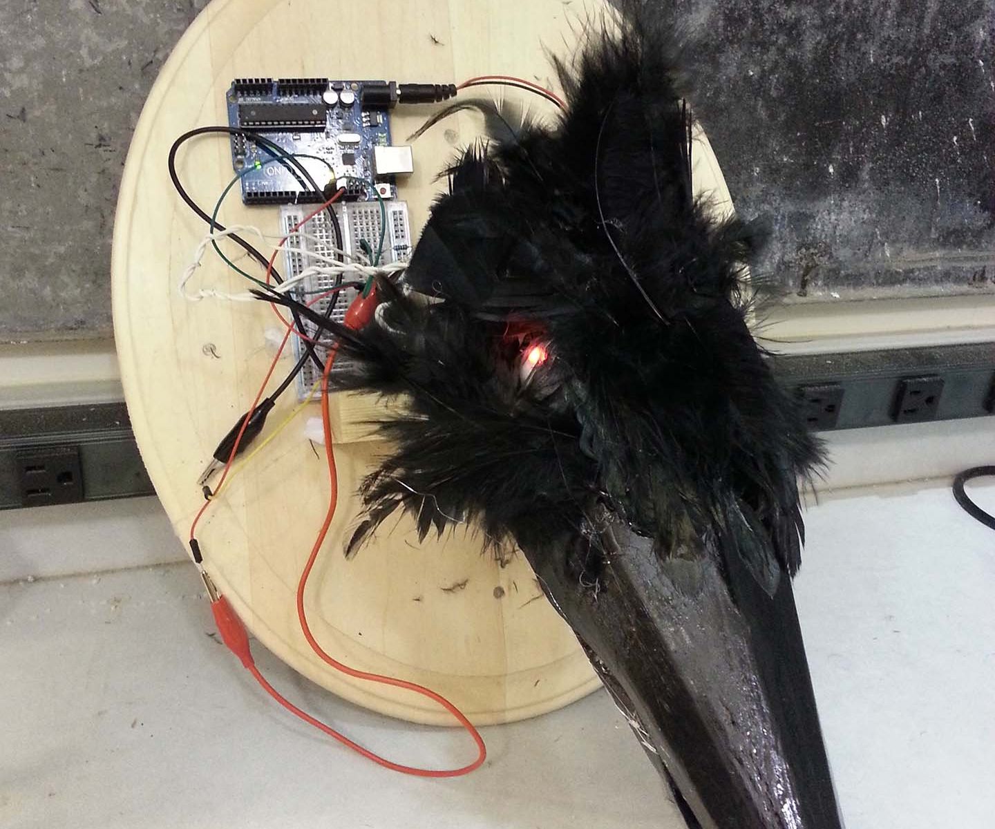 Moving Bird Head