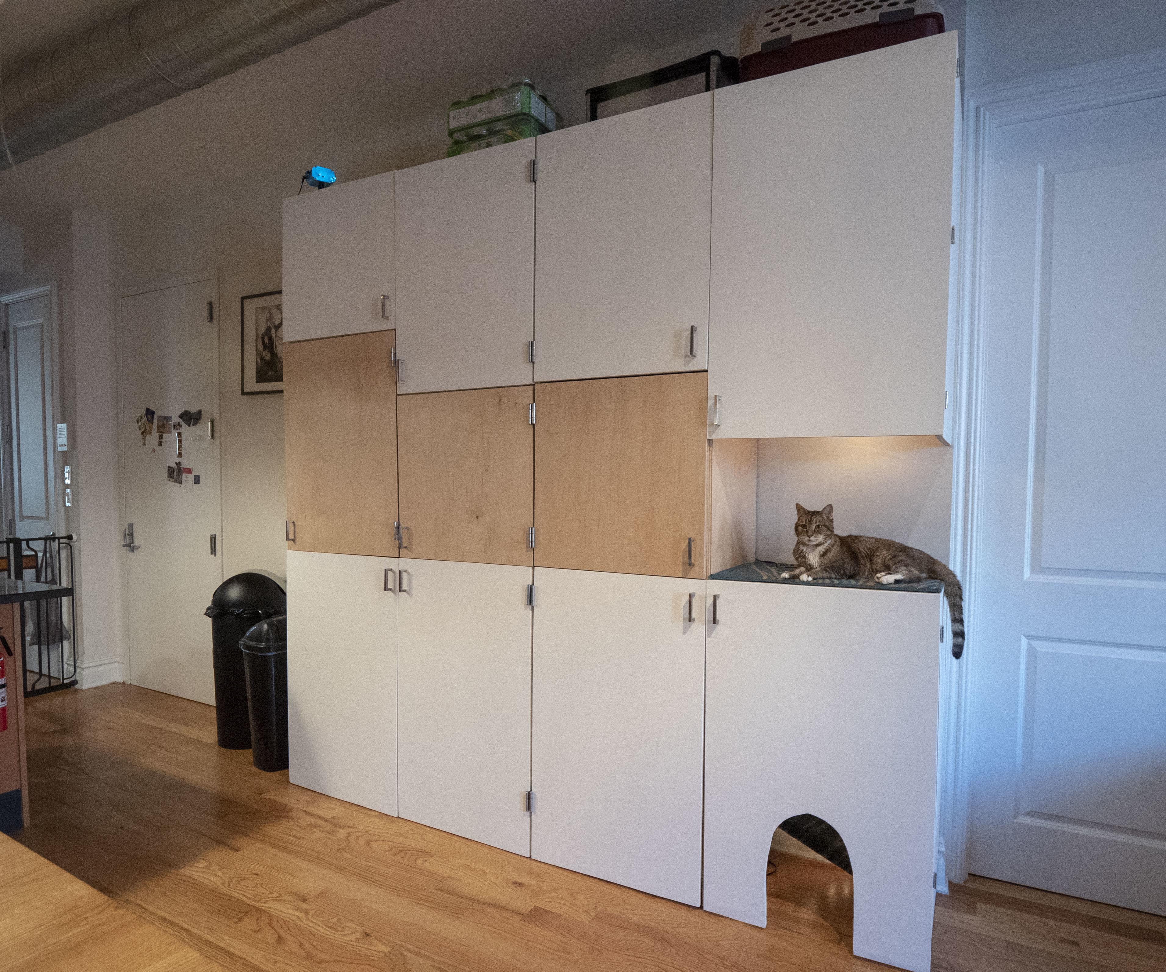 Plywood Storage Wall With Cat Tower