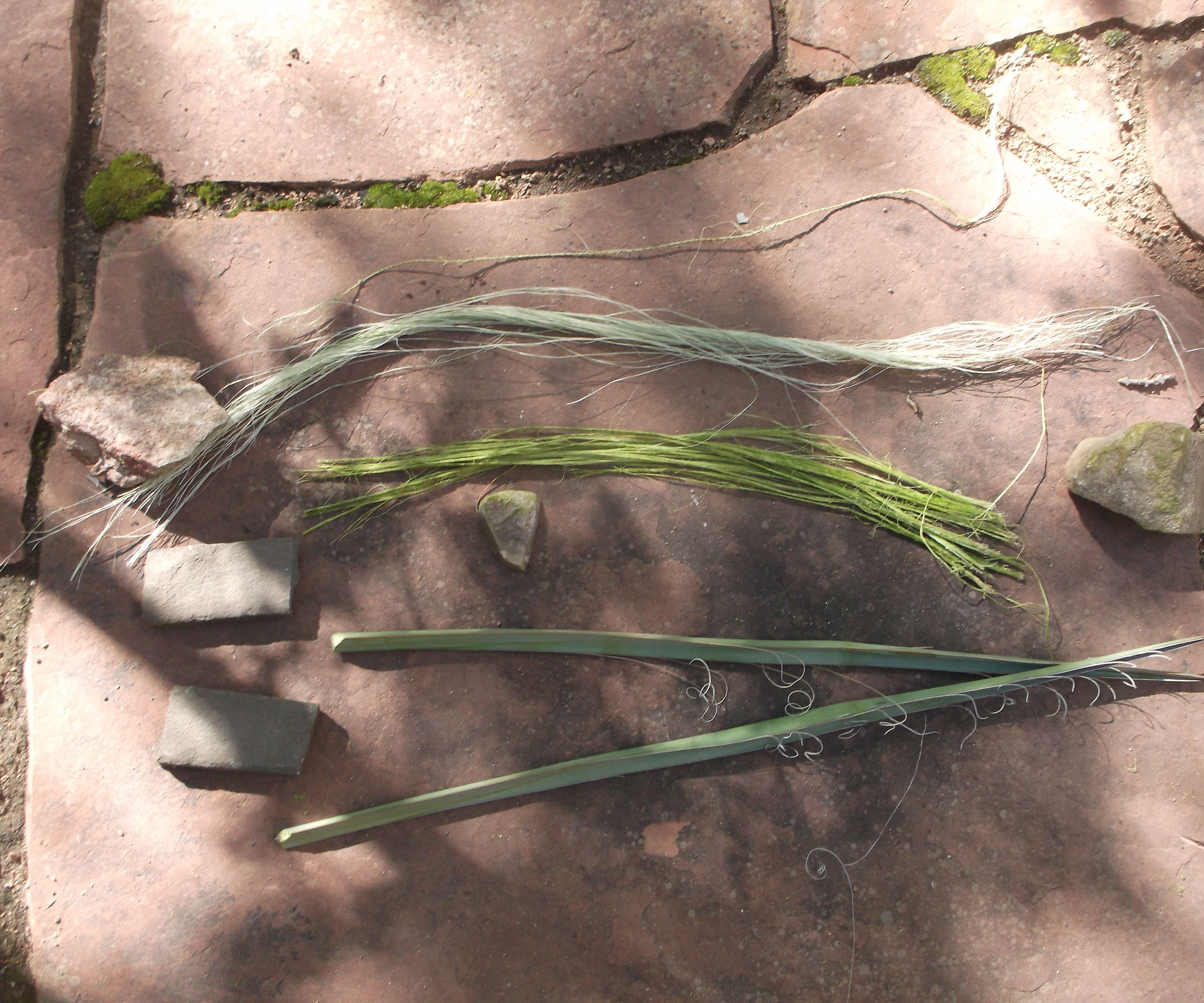 Processing Yucca Fibre with Primitive Tools