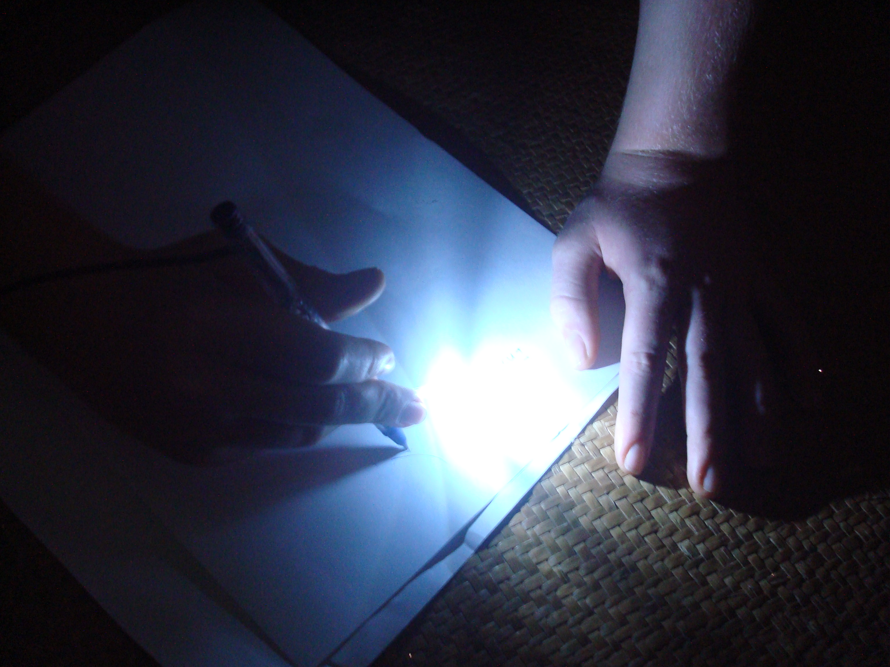 LED Night Pen