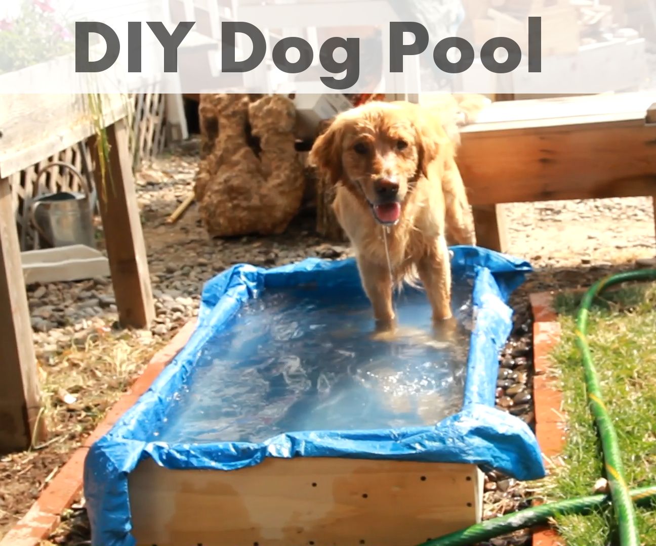 DIY Dog Pool