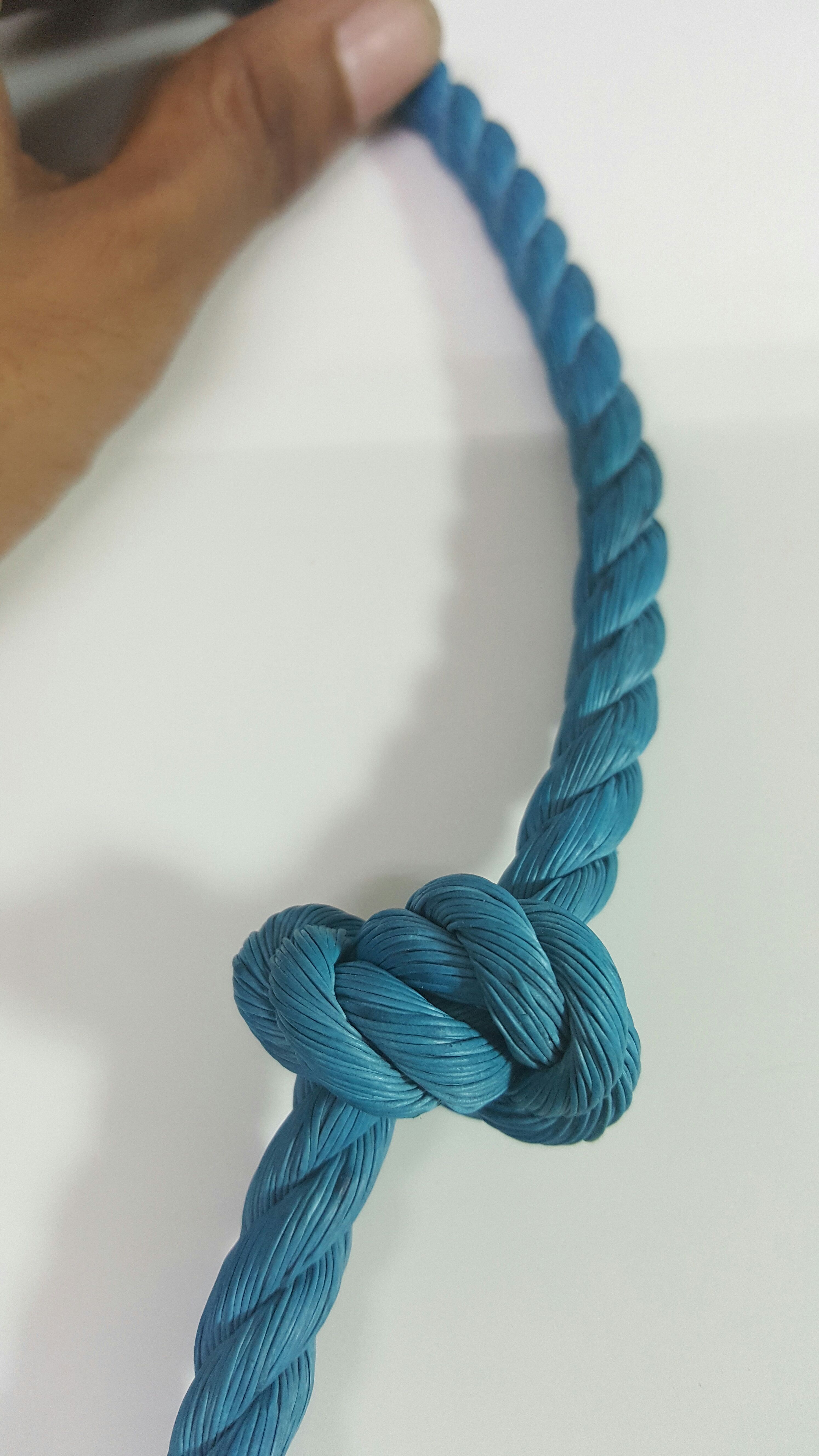 Nudo Figura 8