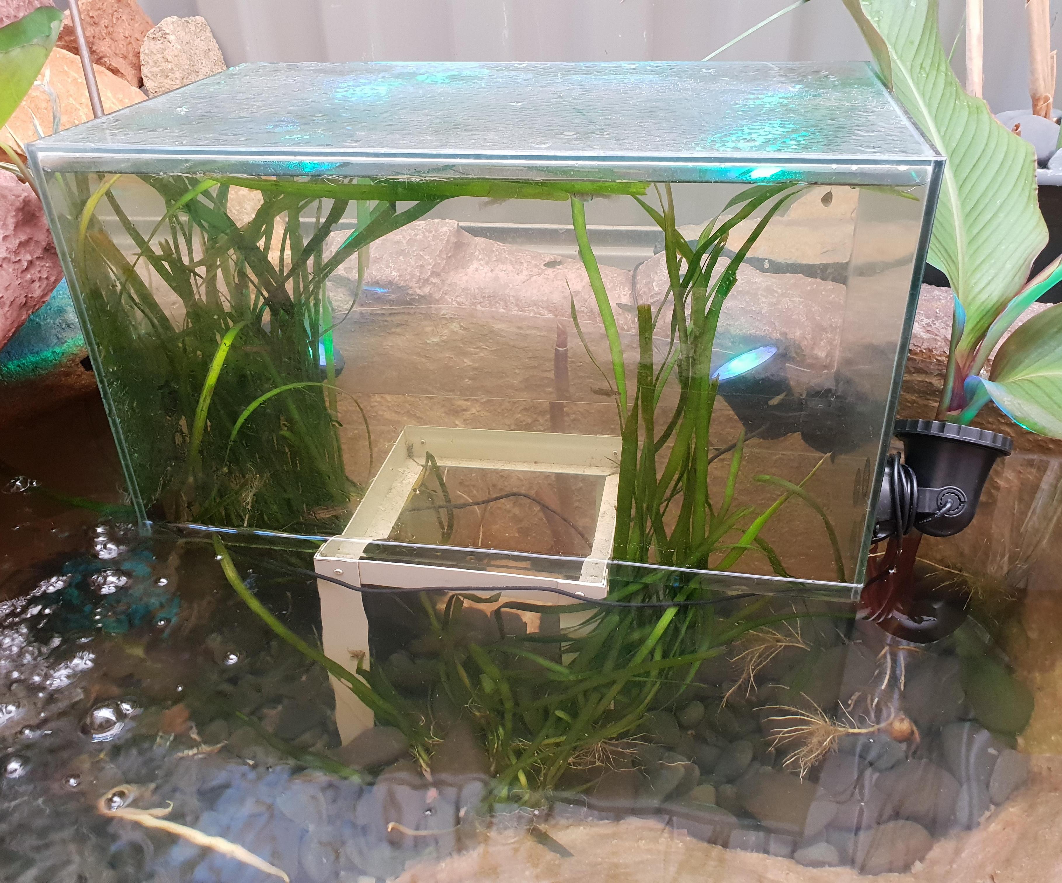 Inverted Fish Tank Tower