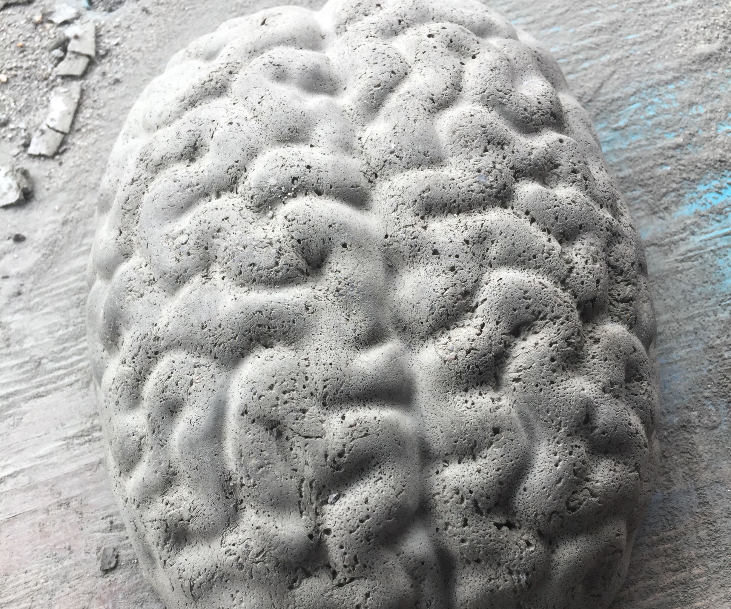 Concrete Brain Halloween Decoration ($10)