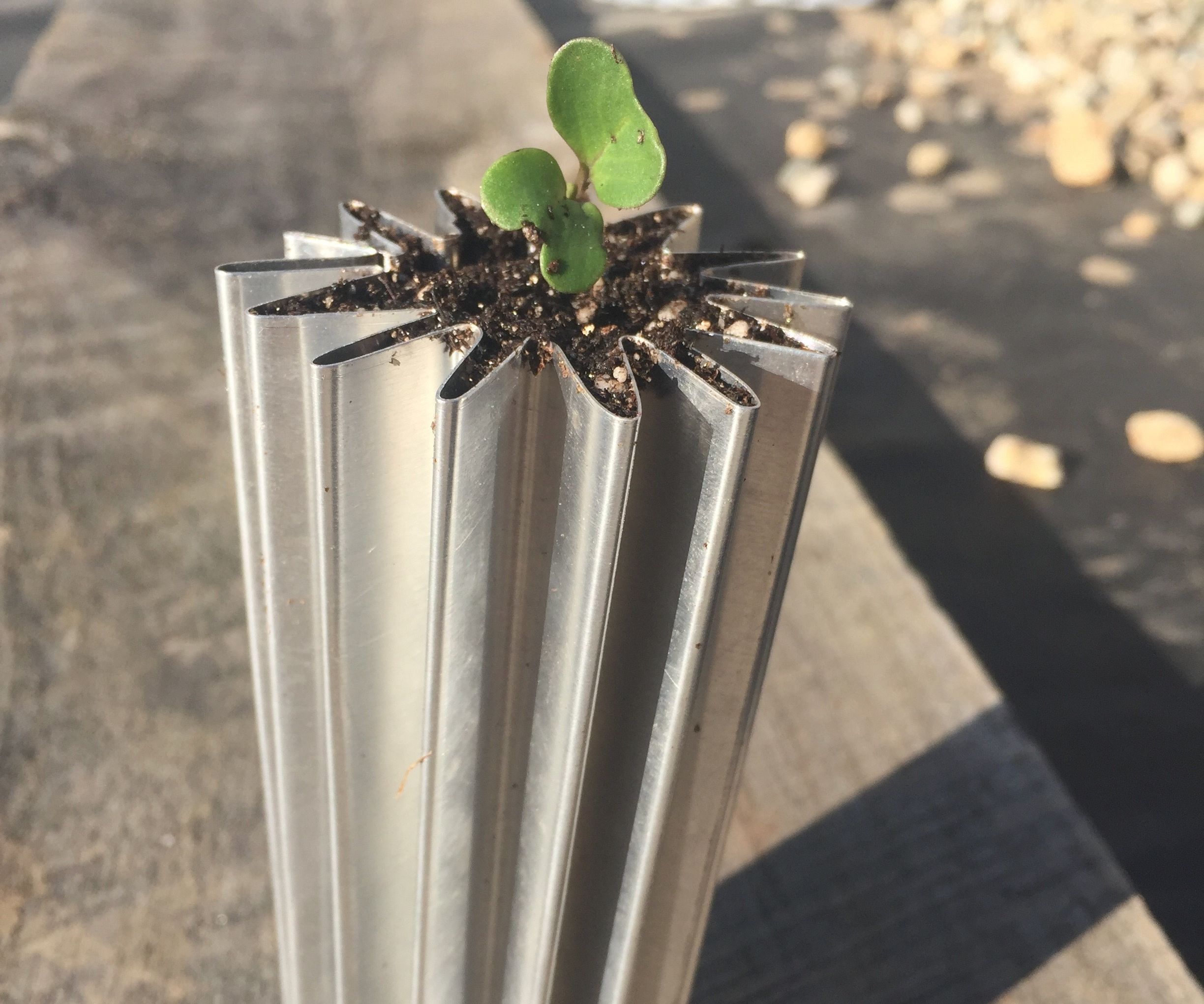 Expandable Planter
