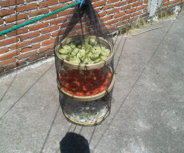 Deshidratador Solar