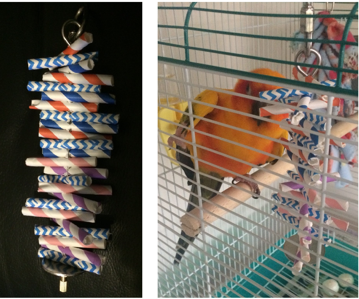 Bird Straw Toy Maker
