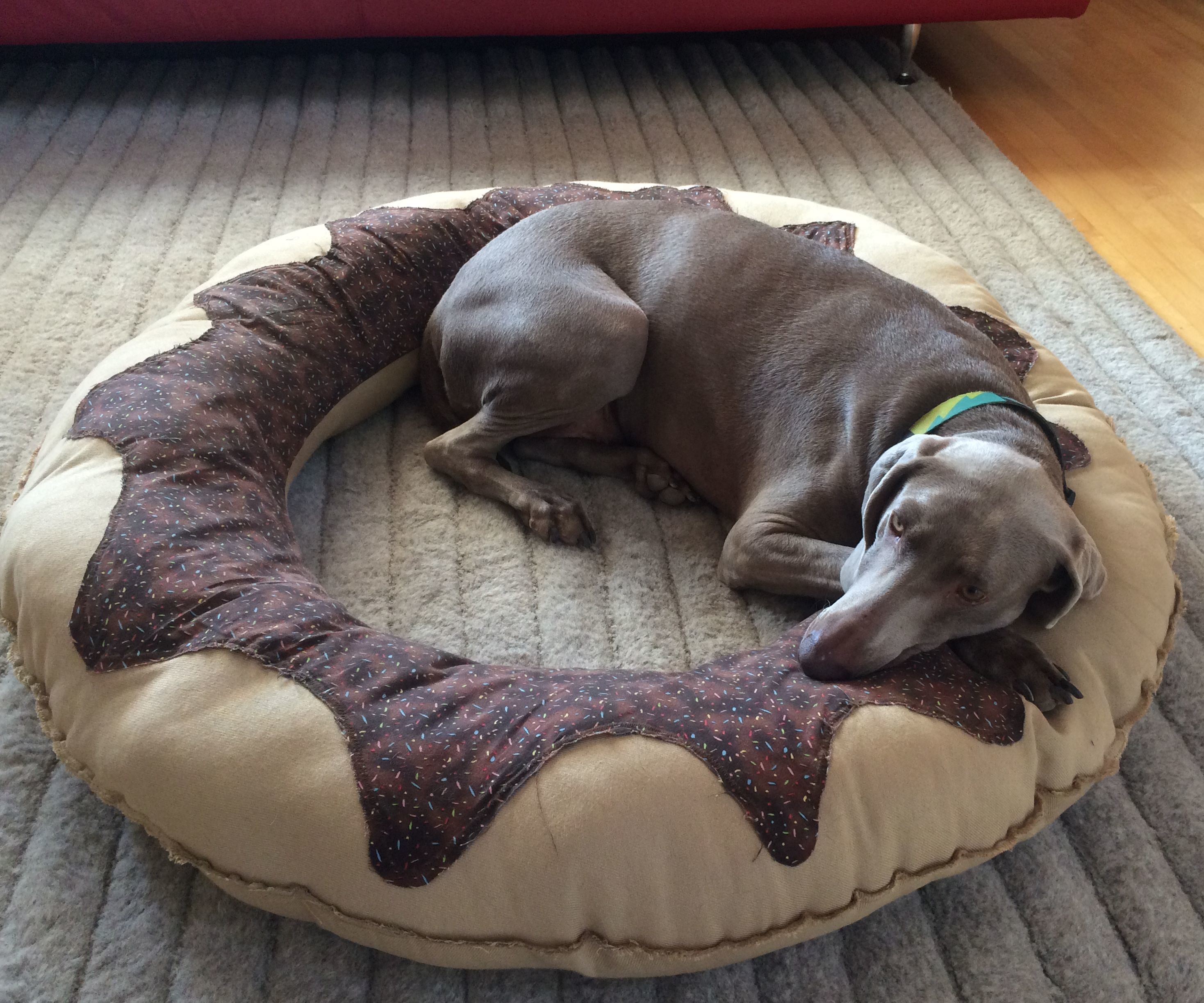 Donut Dog Bed + a donut party!