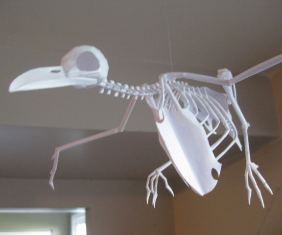 Paper Crow Skeleton